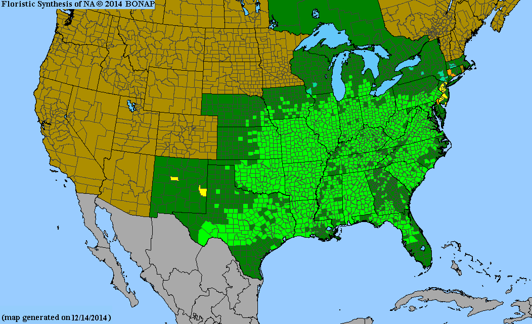 Redbud Native Range